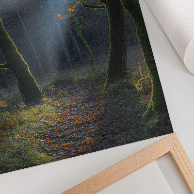 Poster Magical forest autumn light peaceful atmosphere