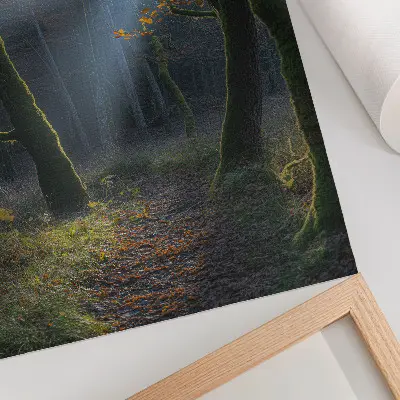 Poster magical forest with peaceful autumn light