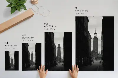 Premium Black and White Street Wall Art with a tower in the monumental center