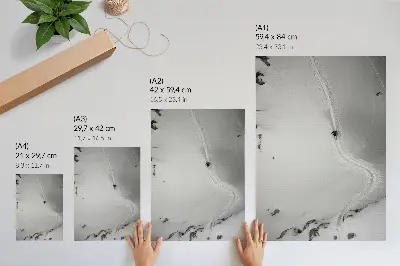Premium wall art featuring perfect motion geometry and sport dynamics in a winter scene