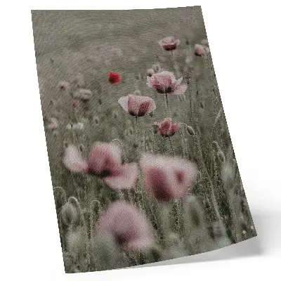 Art print pastel poppies with a romantic atmosphere and subtle flowers