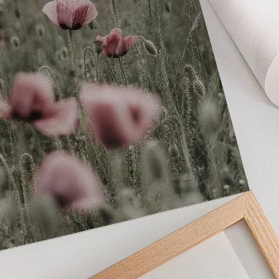Art print Pastel poppies romantic atmosphere subtle flowers