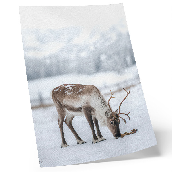 Decorative poster Reindeer in the snow, nature, peace, elegance