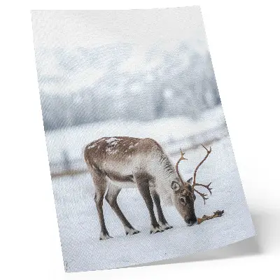 Decorative poster reindeer in the snow featuring a nature theme with peaceful and elegant style