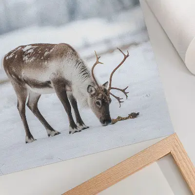 Decorative poster reindeer in the snow featuring a nature theme with peaceful and elegant style