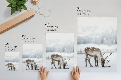 Decorative poster reindeer in the snow featuring a nature theme with peaceful and elegant style