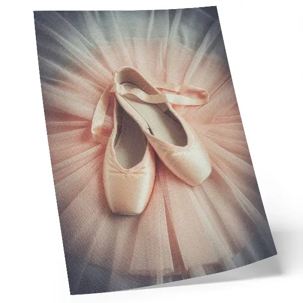 Premium wall art ballet flats on a pink tulle skirt in a display of harmony and elegance