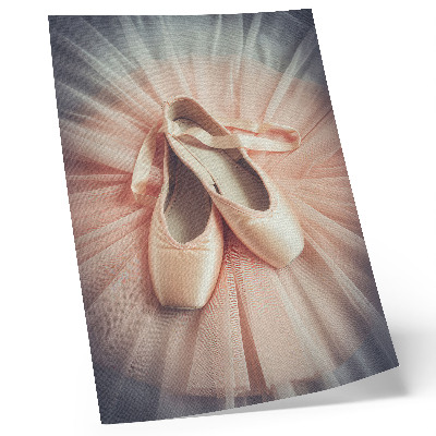 Premium wall art Ballet flats on a pink tulle skirt, harmony and elegance