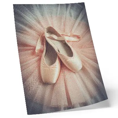 Premium wall art ballet flats on a pink tulle skirt in a display of harmony and elegance