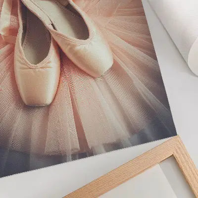 Premium wall art ballet flats on a pink tulle skirt in a display of harmony and elegance