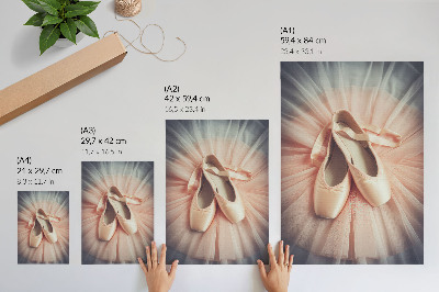 Premium wall art Ballet flats on a pink tulle skirt, harmony and elegance