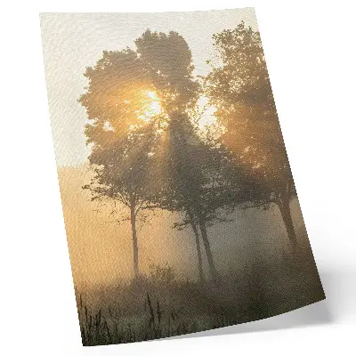 Misty dawn trees decorative poster with warm light inspiration