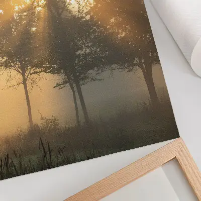Misty dawn trees decorative poster with warm light inspiration