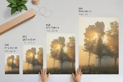 Misty dawn trees decorative poster with warm light inspiration