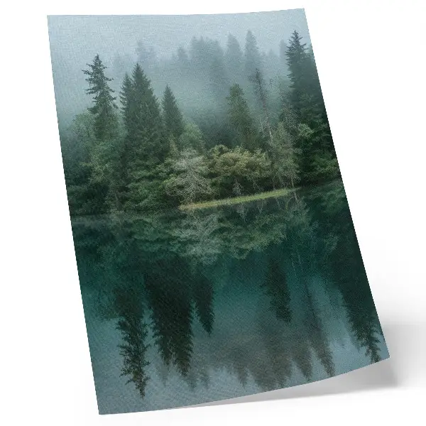 Premium wall art green forest depths with fog reflecting in the water