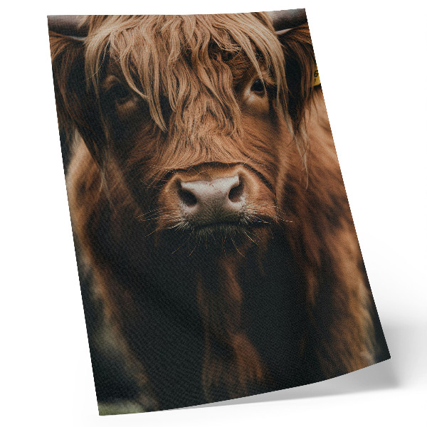 Art print Animal portrait fur rustic atmosphere detail