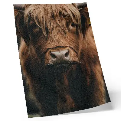 Animal portrait art print with rustic fur detail and atmosphere