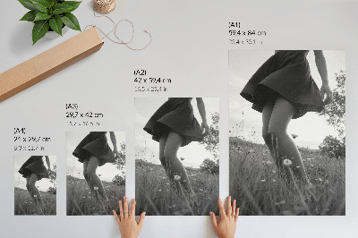 Poster A black and white photograph of a meadow full of harmony and peace.