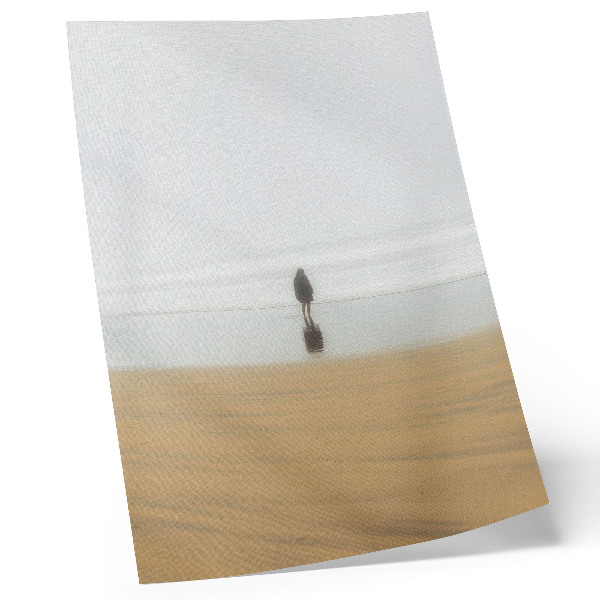 Poster Minimalism, peace, solitude, beach, reflection, water