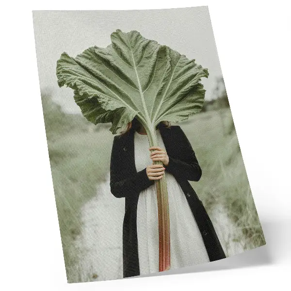 The Mystery of Nature Leaf and Figure premium wall art