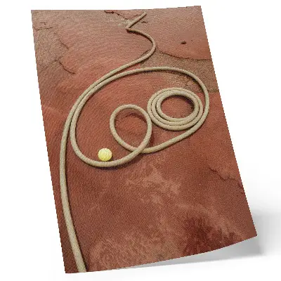 Garden hose intense red ball contrast decorative poster