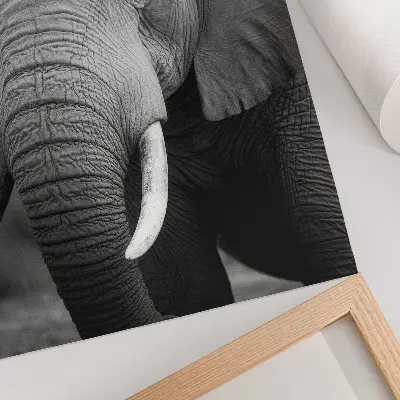 Elephant art print a close-up portrait of peaceful strength