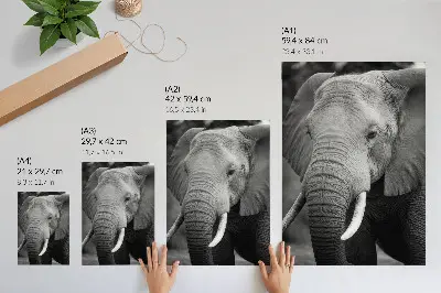 Elephant art print a close-up portrait of peaceful strength