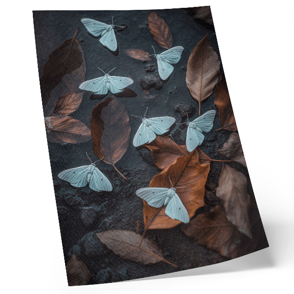 Poster Butterflies against a background of leaves in autumn shades
