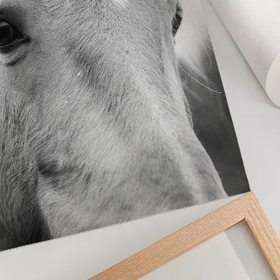 Horse Eye Black and White Art Print elegance edition