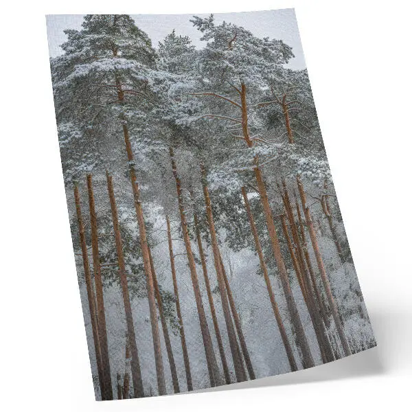 Art print featuring a peaceful winter forest with snowy trees