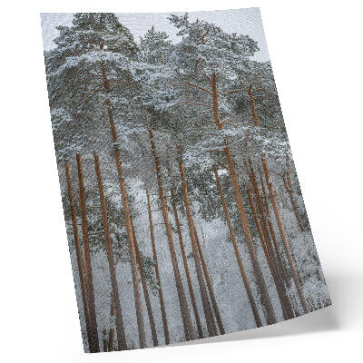 Art print Winter forest snow trees peace harmony nature
