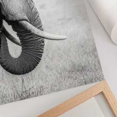Elephant portrait decorative poster black and white