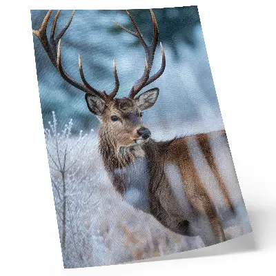 Decorative poster featuring a majestic deer in a winter nature landscape
