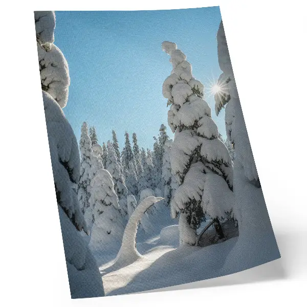 Art print snow-covered trees under a sunny blue sky