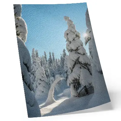 Art print snow-covered trees under a sunny blue sky