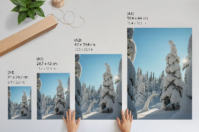 Art print Snow-covered trees, blue sky, sunshine
