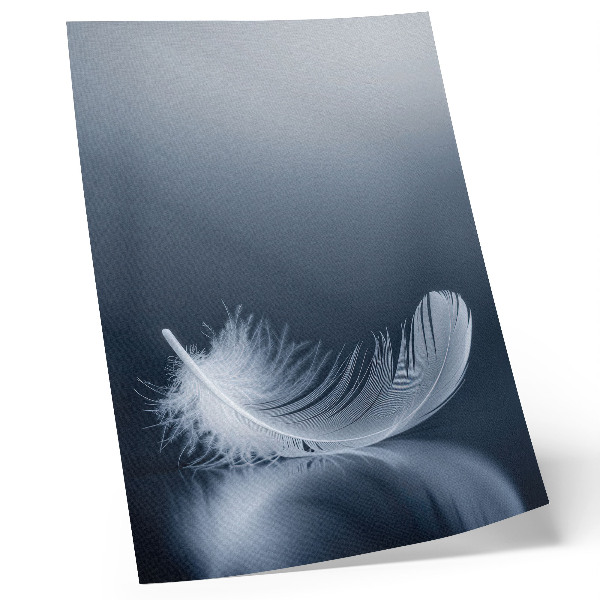 Poster White feather on a gray background, peace and harmony