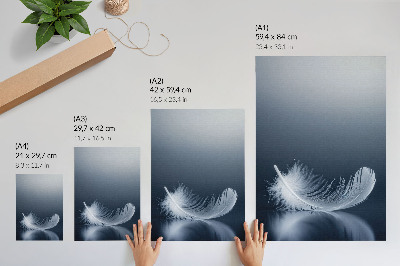 Poster White feather on a gray background, peace and harmony