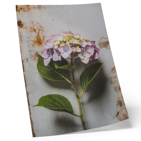 Decorative poster with pink hydrangea and green leaves on a rustic background