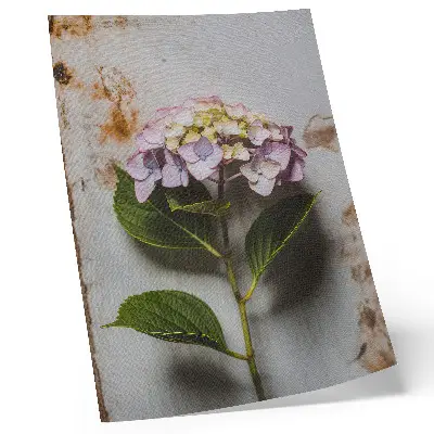 Decorative poster with pink hydrangea and green leaves on a rustic background