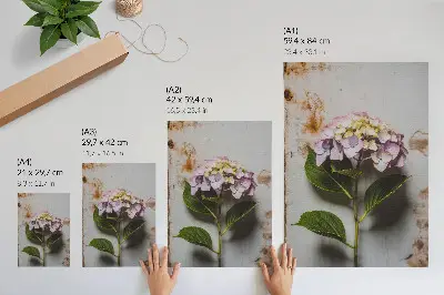 Decorative poster with pink hydrangea and green leaves on a rustic background