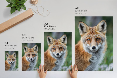 Poster Fox portrait, warm shades, green background