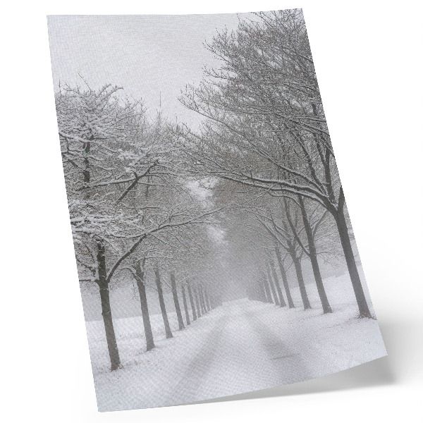 Poster Symmetrical avenue of winter trees, snow, fog