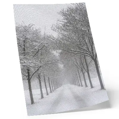Poster symmetrical avenue of winter trees in the fog and snow