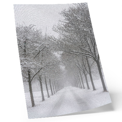 Poster Symmetrical avenue of winter trees, snow, fog