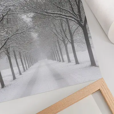 Poster symmetrical avenue of winter trees in the fog and snow
