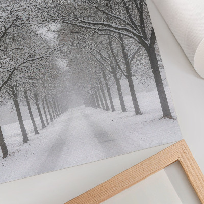 Poster Symmetrical avenue of winter trees, snow, fog