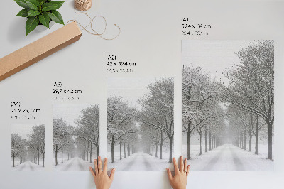 Poster Symmetrical avenue of winter trees, snow, fog