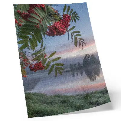 Art print lake in the morning with delicate rowan fog
