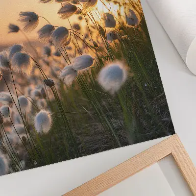 Premium wall art grasses at sunset in warm natural colors